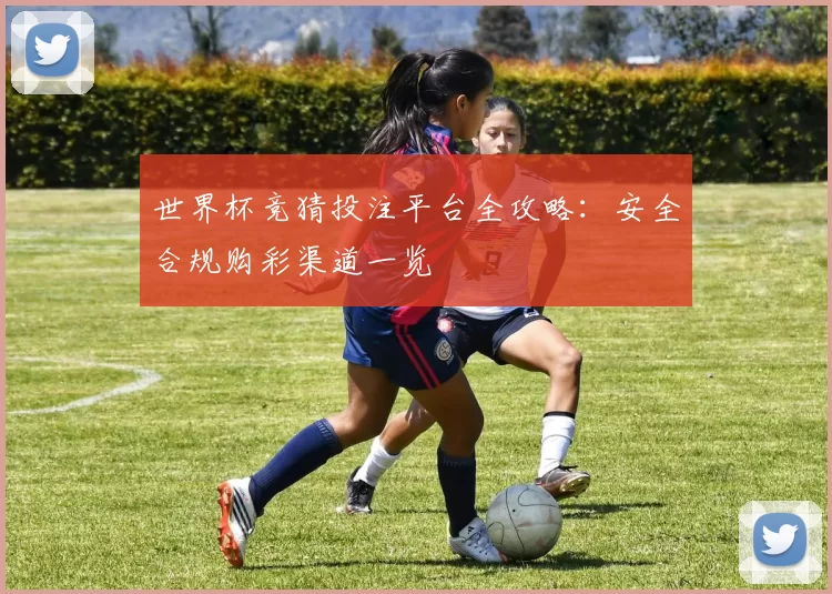 世界杯竞猜投注平台全攻略:安全合规购彩渠道一览
