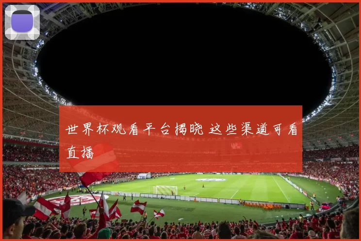 世界杯观看平台揭晓 这些渠道可看直播