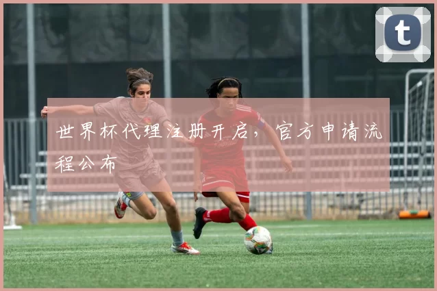 世界杯代理注册开启,官方申请流程公布