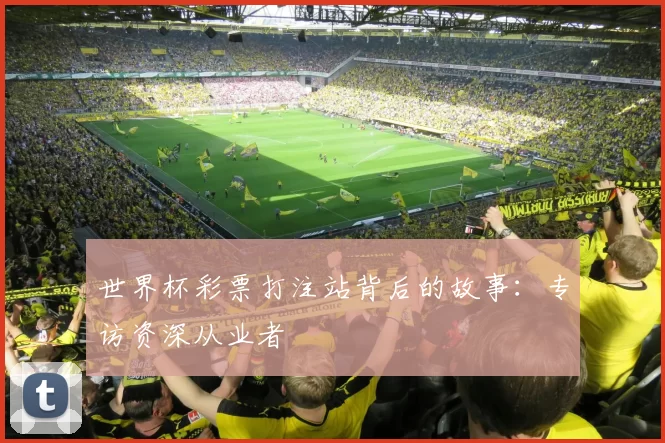世界杯彩票打注站背后的故事:专访资深从业者