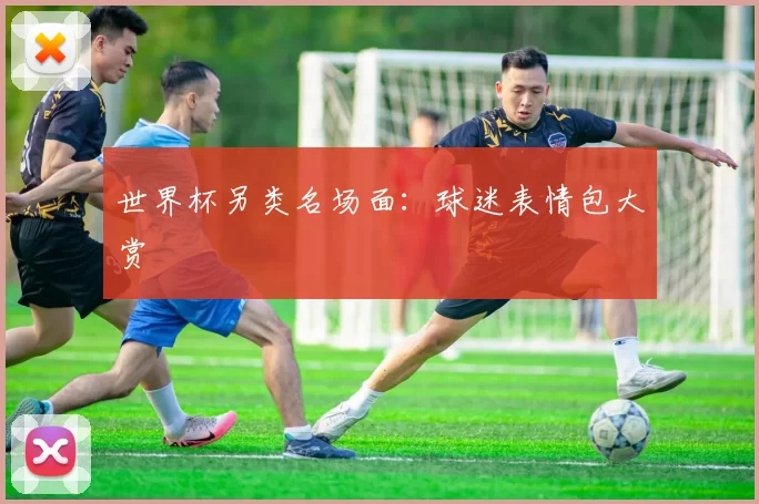 世界杯另类名场面：球迷表情包大赏