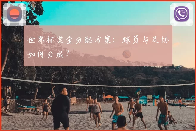 世界杯奖金分配方案：球员与足协如何分成？