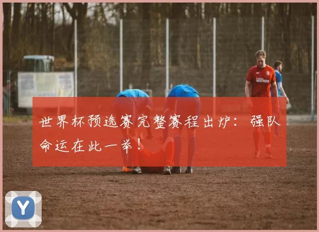 世界杯预选赛完整赛程出炉：强队命运在此一举！