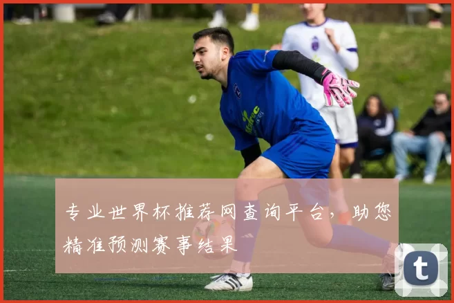 专业世界杯推荐网查询平台,助您精准预测赛事结果
