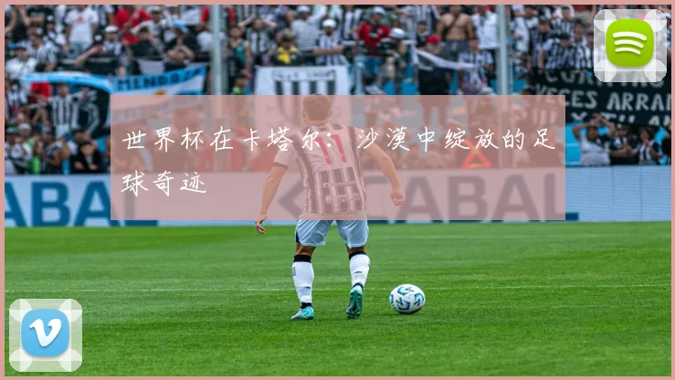 世界杯在卡塔尔：沙漠中绽放的足球奇迹