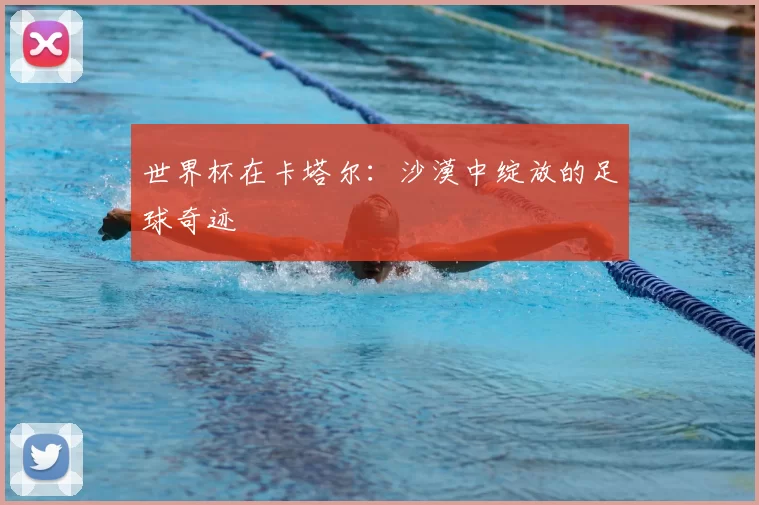 世界杯在卡塔尔:沙漠中绽放的足球奇迹