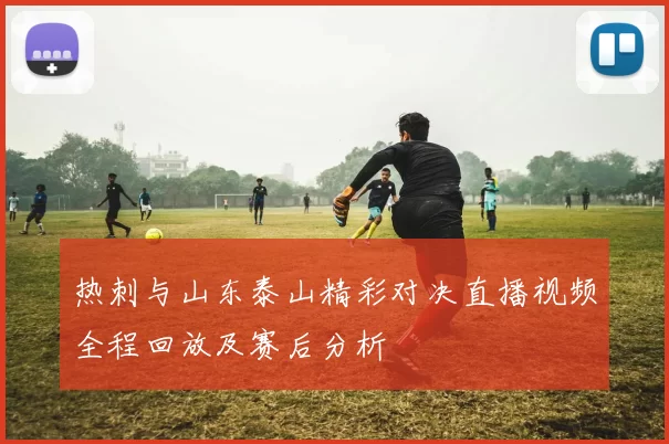 热刺与山东泰山精彩对决直播视频全程回放及赛后分析