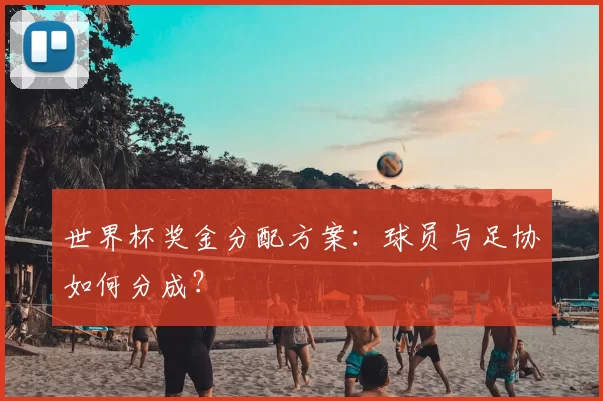 世界杯奖金分配方案：球员与足协如何分成？