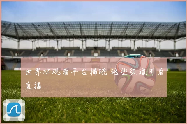 世界杯观看平台揭晓 这些渠道可看直播