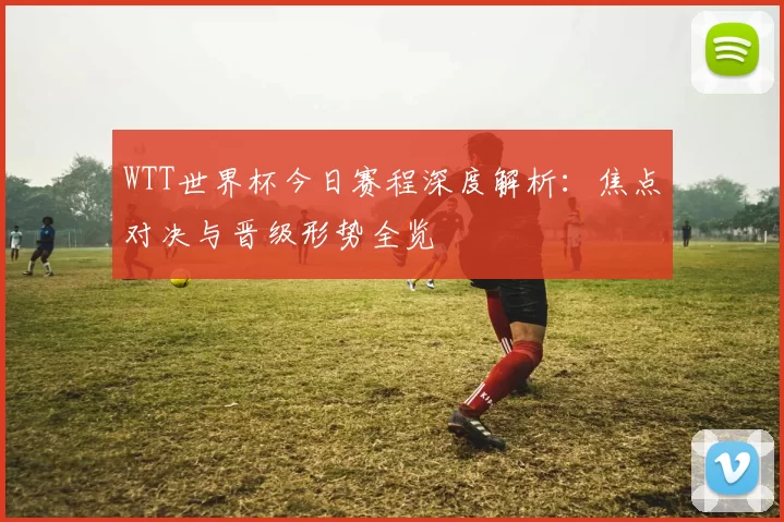 WTT世界杯今日赛程深度解析:焦点对决与晋级形势全览
