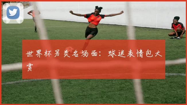 世界杯另类名场面:球迷表情包大赏