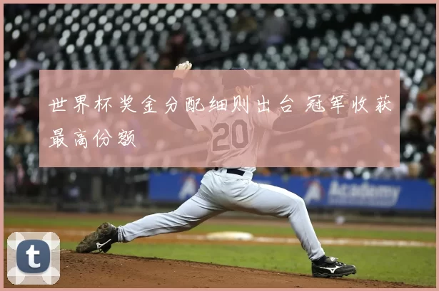 世界杯奖金分配细则出台 冠军收获最高份额