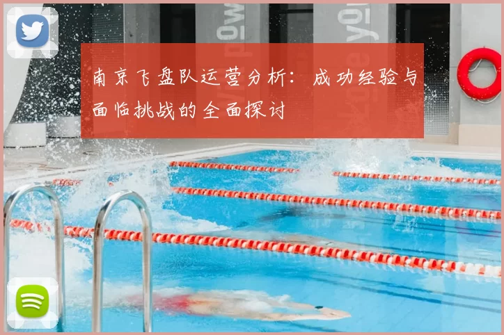 南京飞盘队运营分析:成功经验与面临挑战的全面探讨