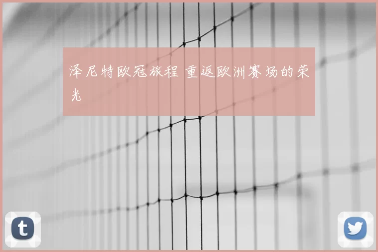 泽尼特欧冠旅程 重返欧洲赛场的荣光